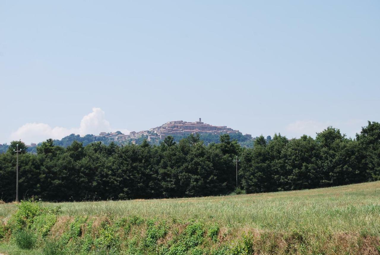 Villa Casa Bartali Chiusdino Esterno foto
